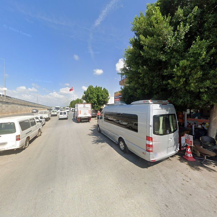 Fotoğraf 7