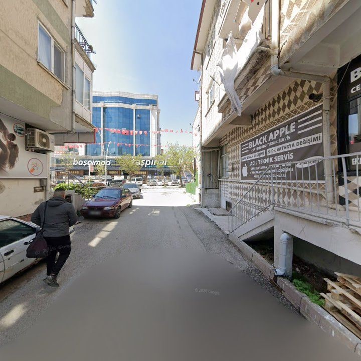 Fotoğraf 8