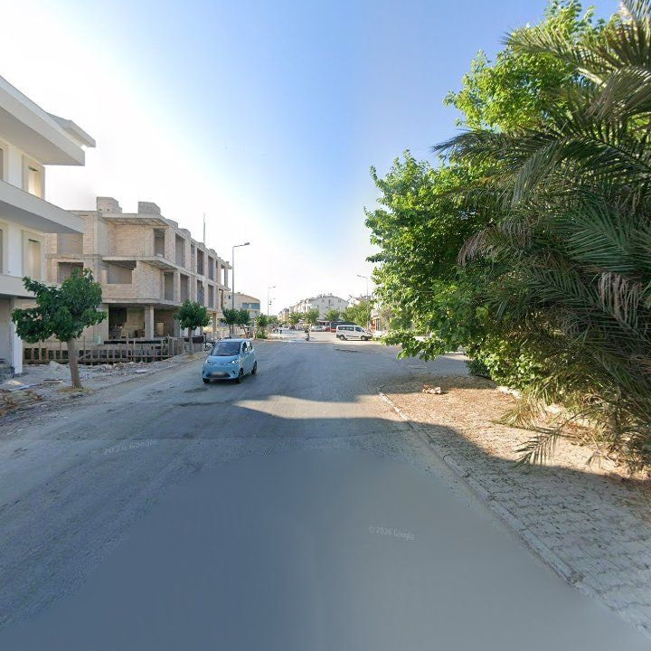 Fotoğraf 10