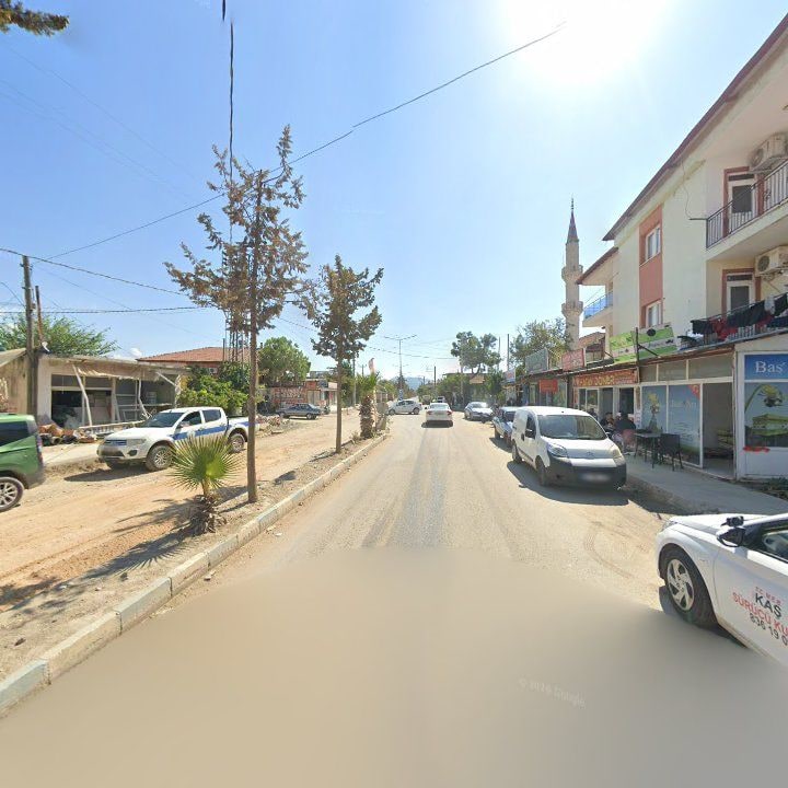 Fotoğraf 8