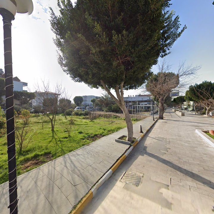 Fotoğraf 12
