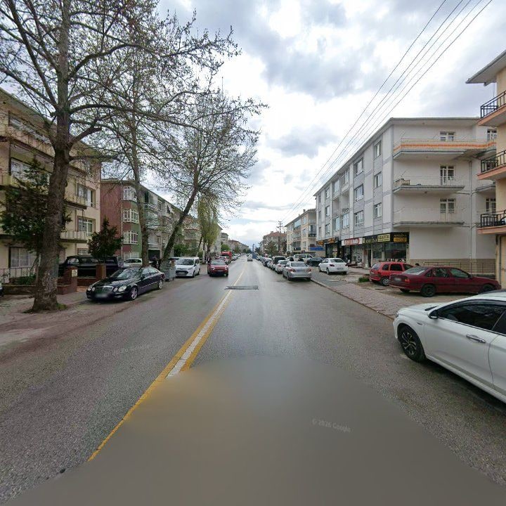 Fotoğraf 8
