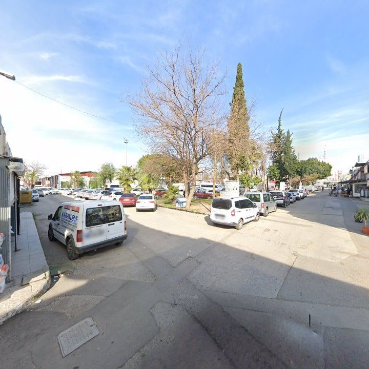 Fotoğraf 6