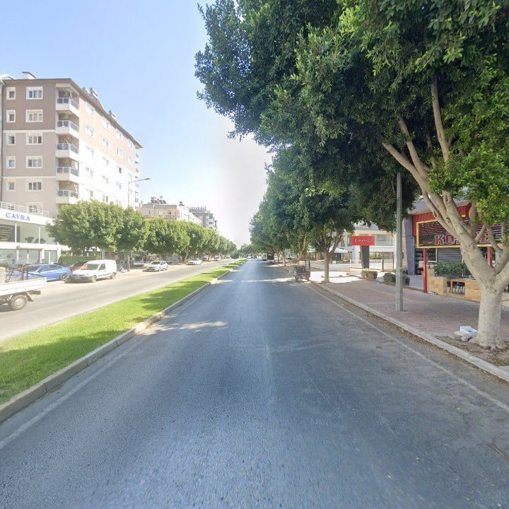 Fotoğraf 15