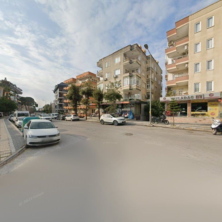 Fotoğraf 12