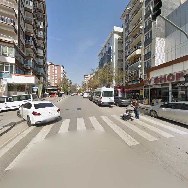 Fotoğraf 10