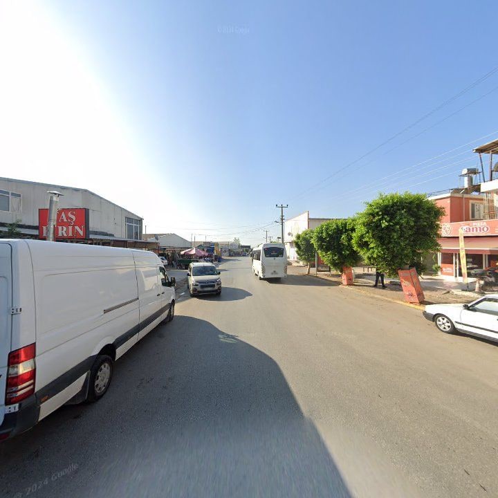 Fotoğraf 8
