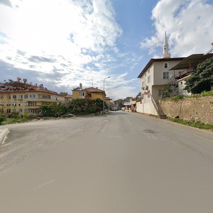 Fotoğraf 8