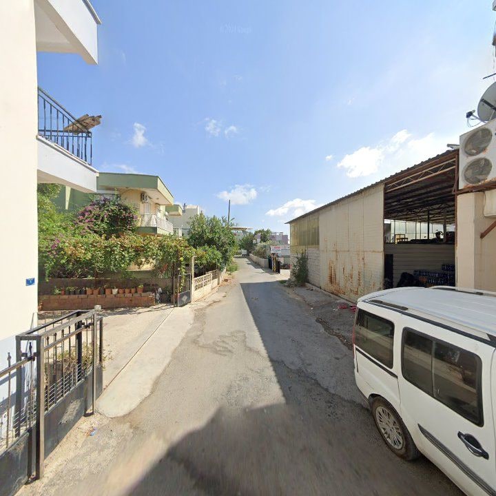 Fotoğraf 7