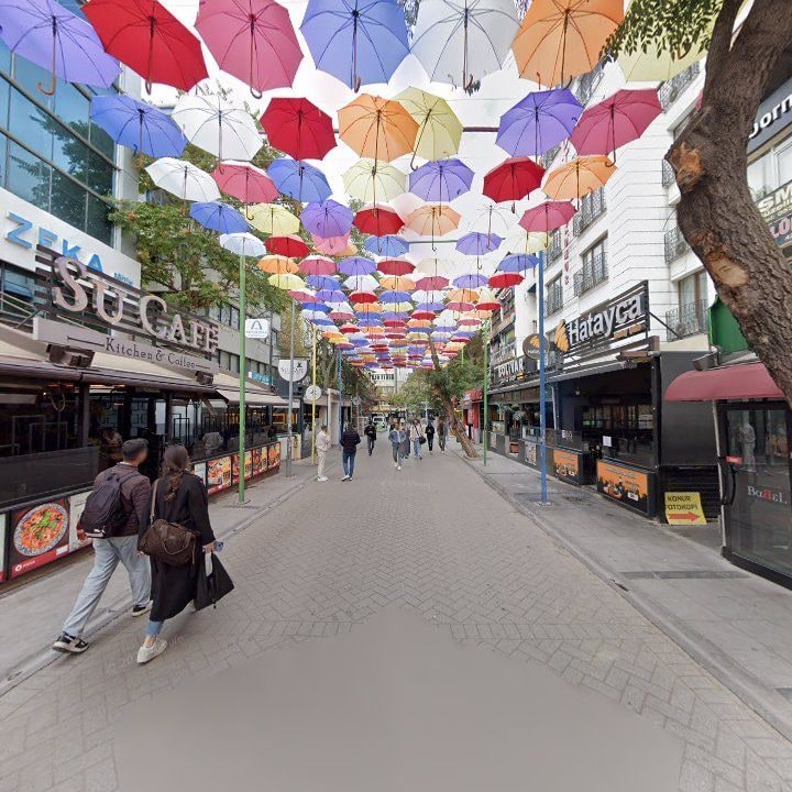 Fotoğraf 11