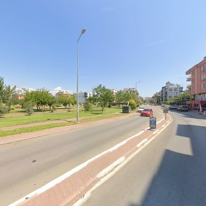 Fotoğraf 11