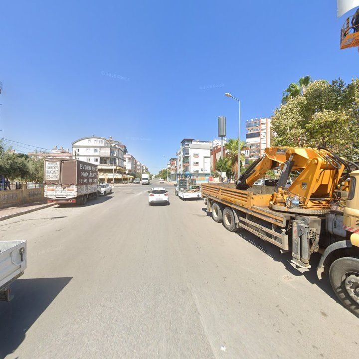 Fotoğraf 14