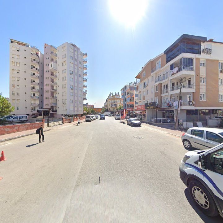 Fotoğraf 16