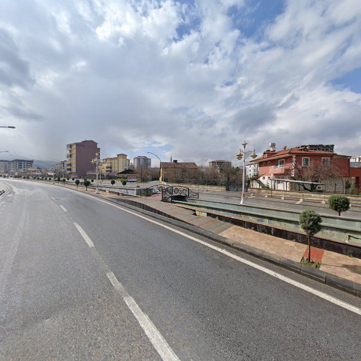 Fotoğraf 11