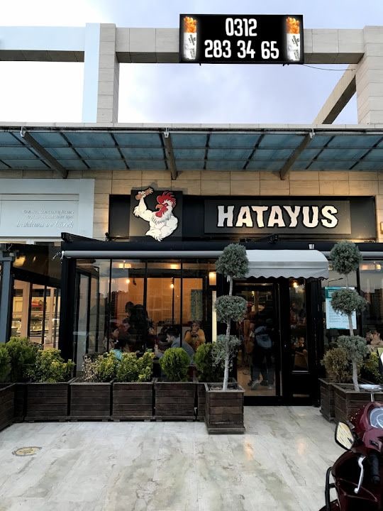 Hatayus