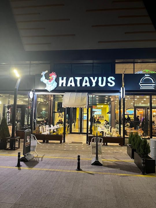 Hatayus