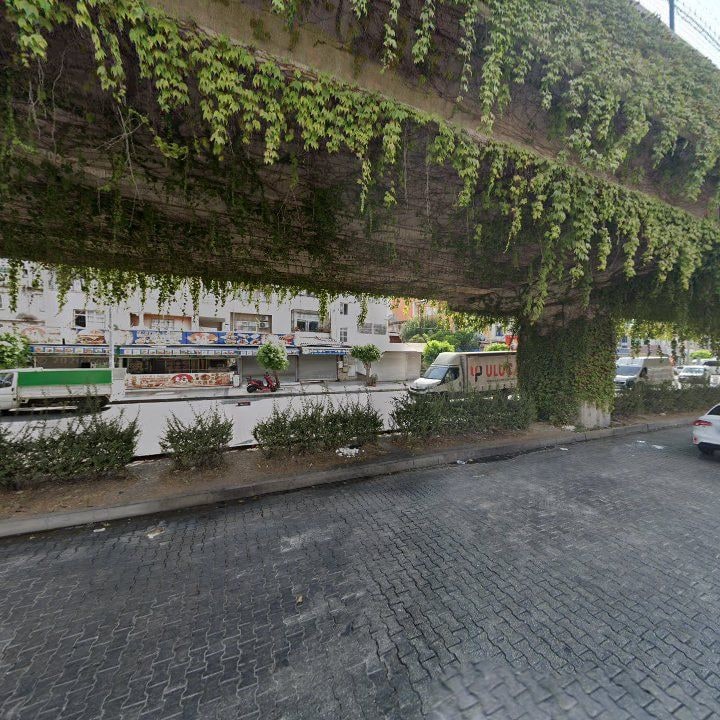 Fotoğraf 7