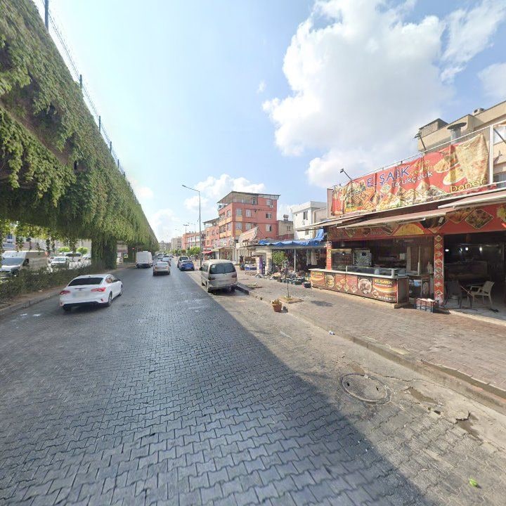 Fotoğraf 8