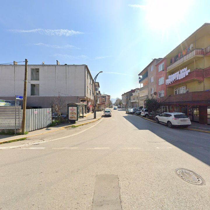 Fotoğraf 8