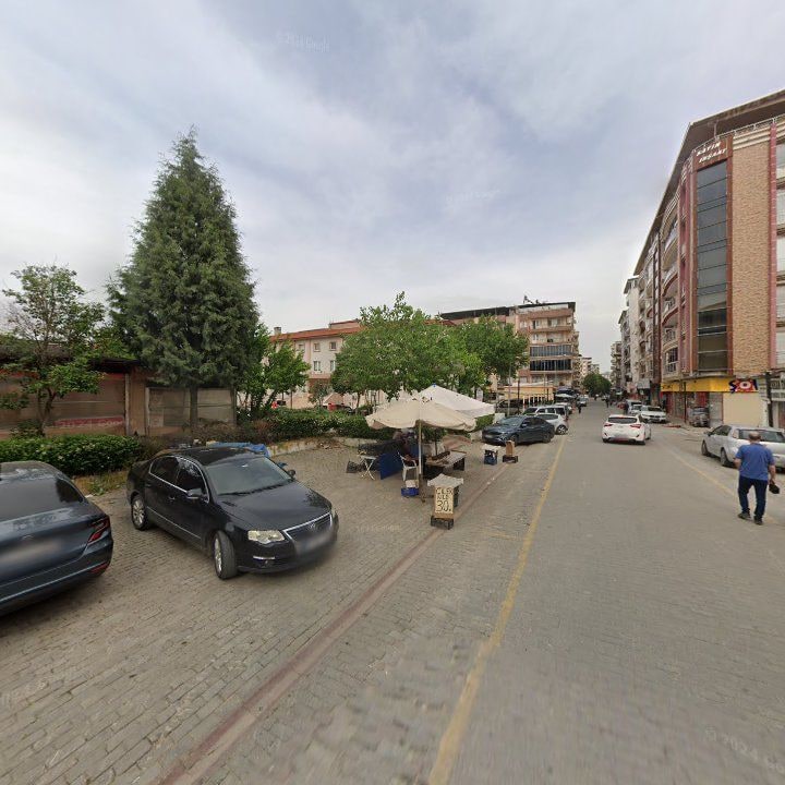 Fotoğraf 8