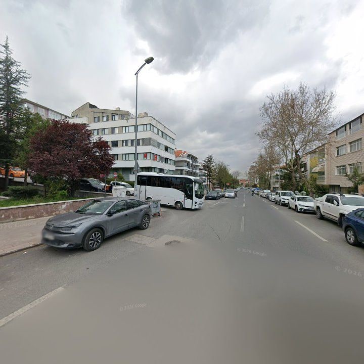 Fotoğraf 12