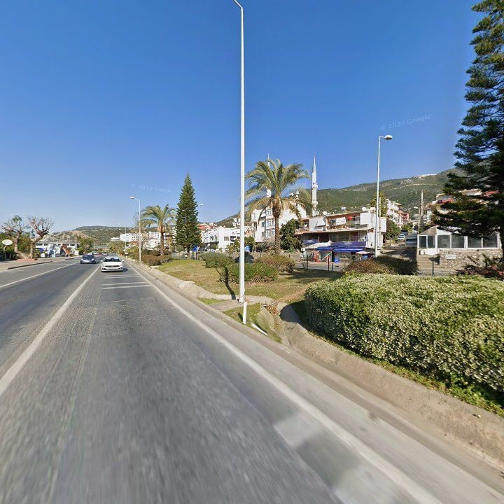 Fotoğraf 9