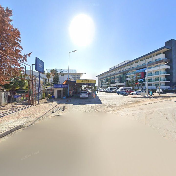 Fotoğraf 12