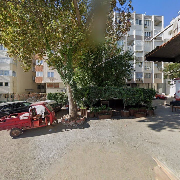 Fotoğraf 15