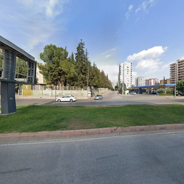 Fotoğraf 8
