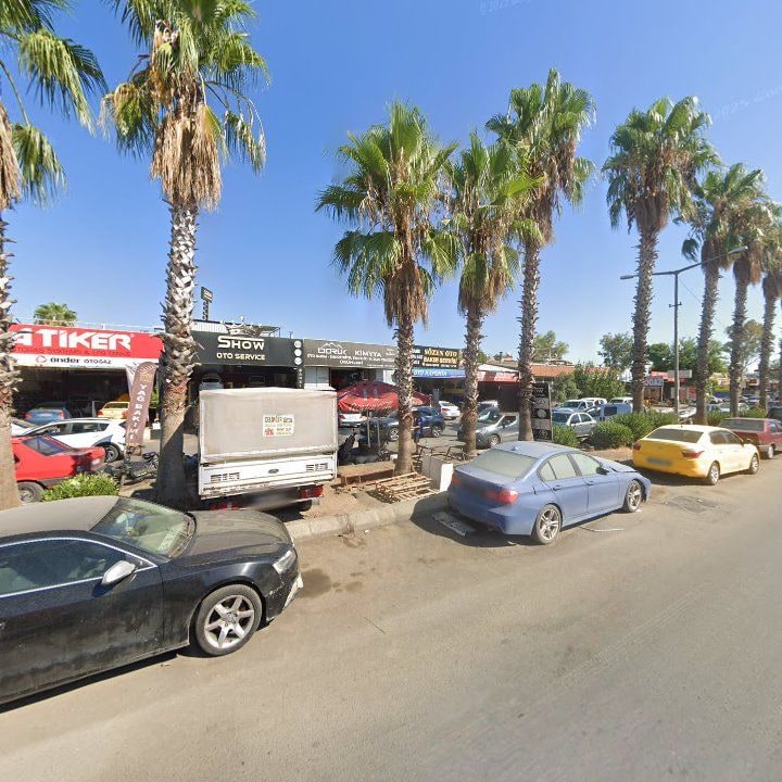 Fotoğraf 3