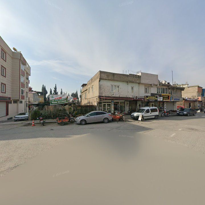 Fotoğraf 10
