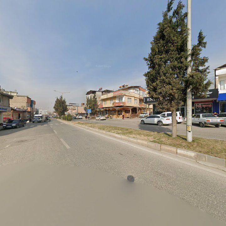 Fotoğraf 11