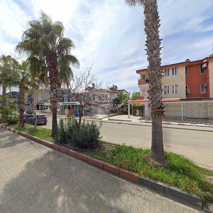 Fotoğraf 11
