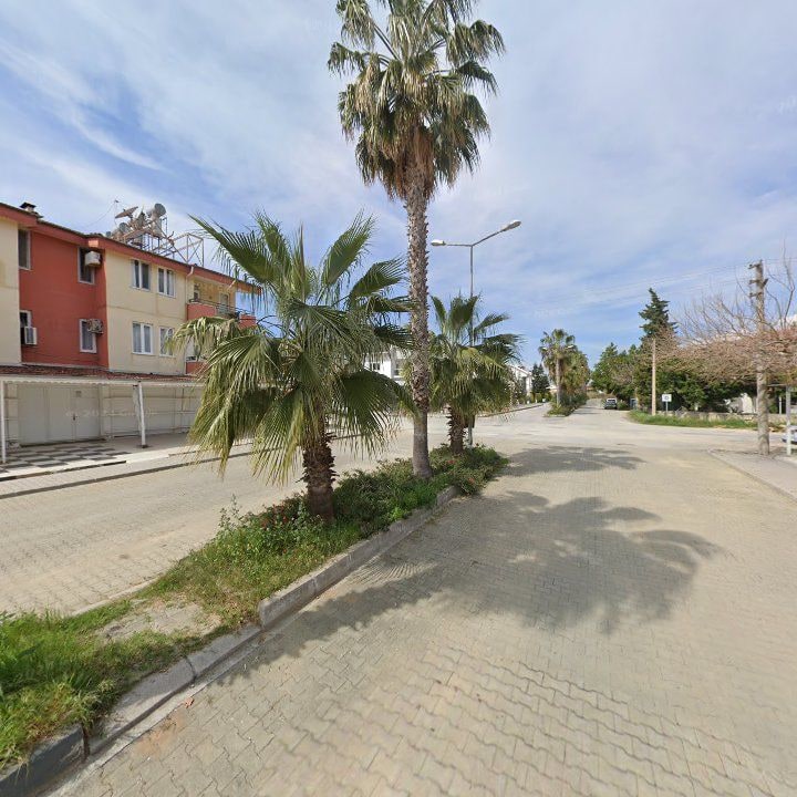 Fotoğraf 12