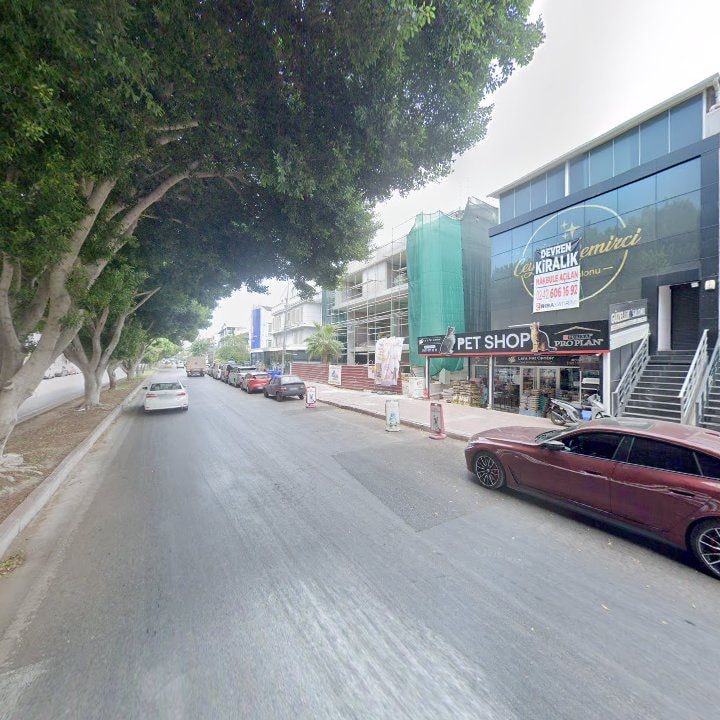 Fotoğraf 7