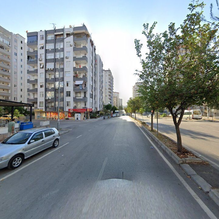 Fotoğraf 7