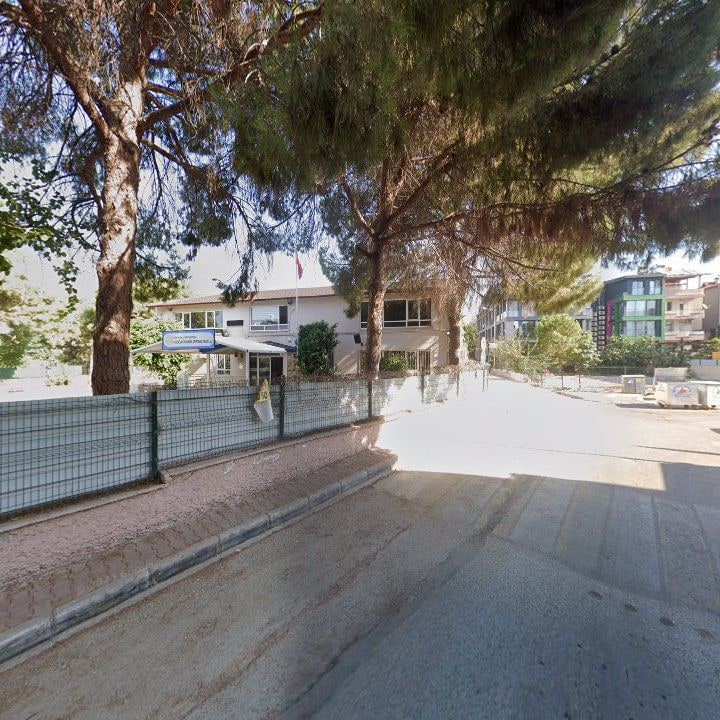 Fotoğraf 10