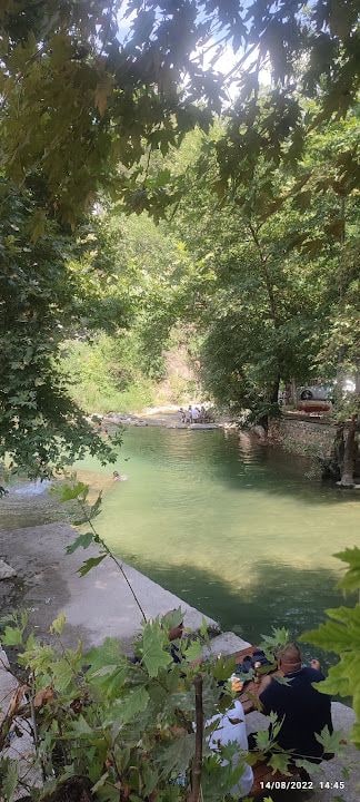 Hayal_garden