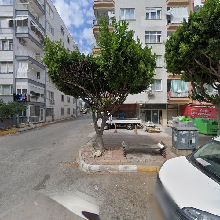 Fotoğraf 7