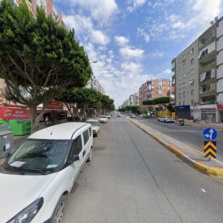 Fotoğraf 8