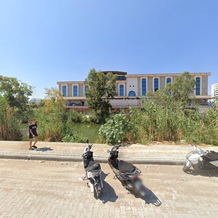 Fotoğraf 11