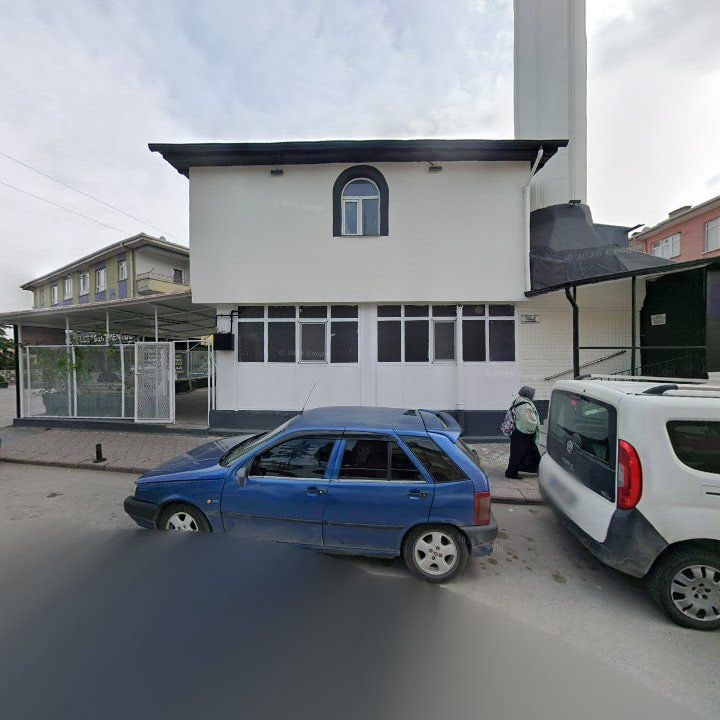 Fotoğraf 7