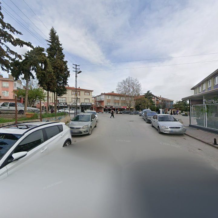 Fotoğraf 6