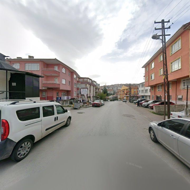 Fotoğraf 8