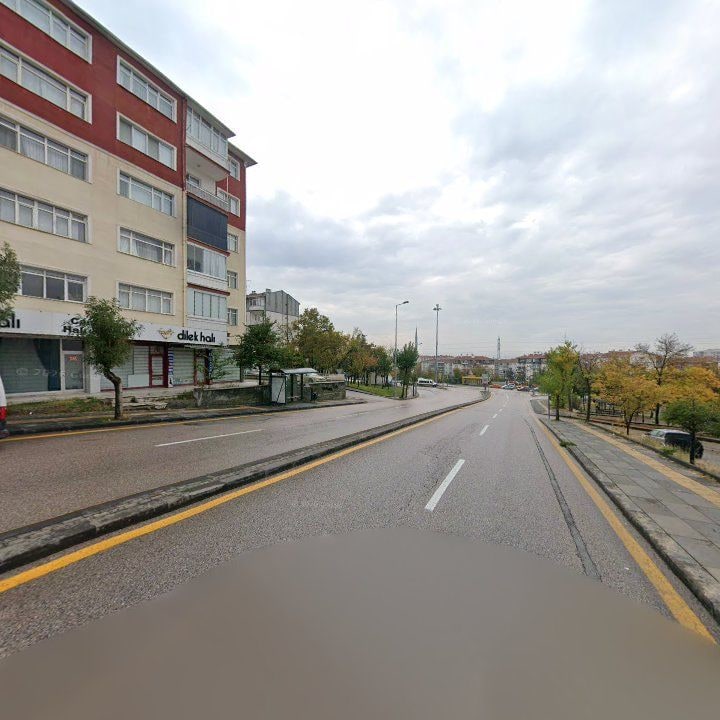 Fotoğraf 7