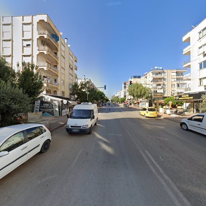 Fotoğraf 11