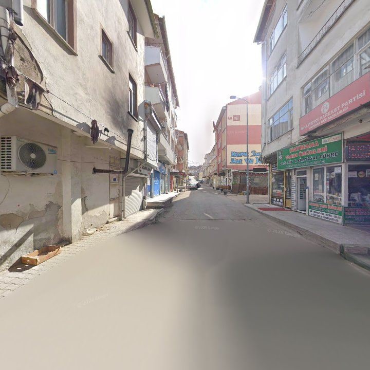 Fotoğraf 10