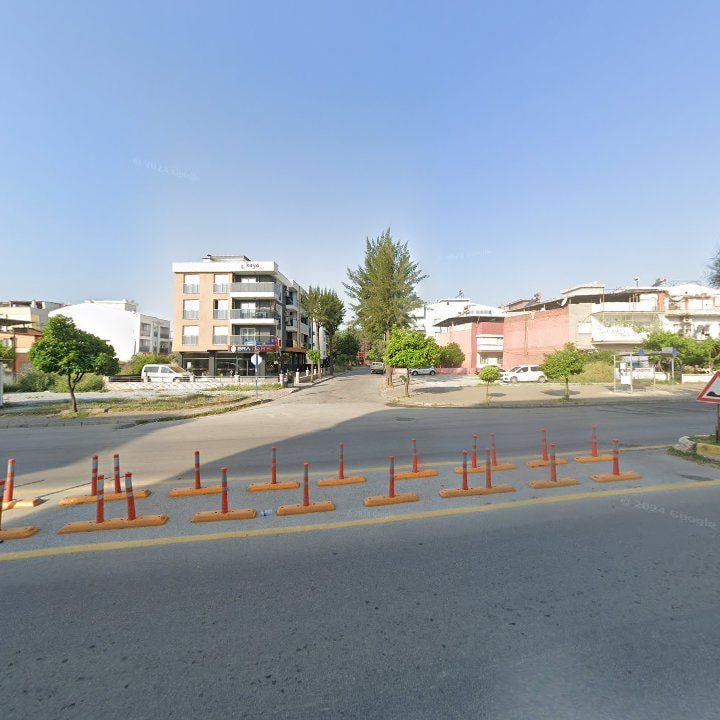 Fotoğraf 11