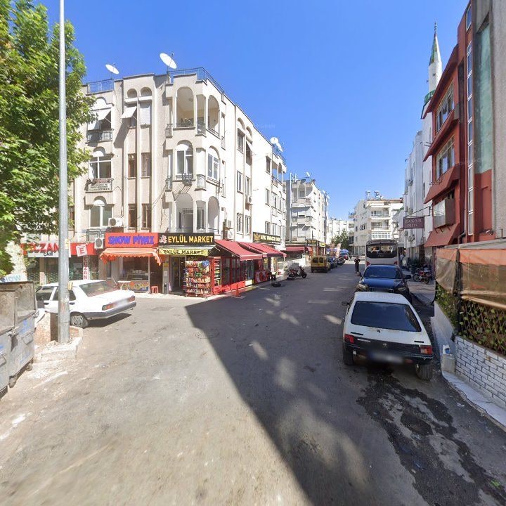 Fotoğraf 8