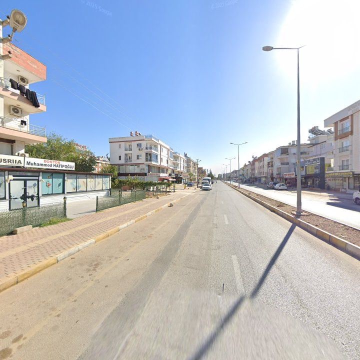 Fotoğraf 9